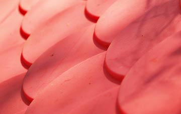 Shotley plastic roof costs